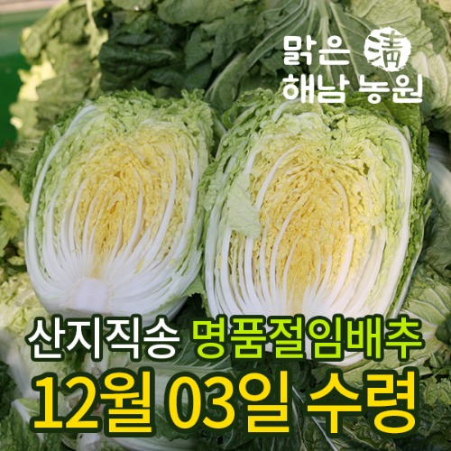 땅끝해남 절임배추20kg, 김장용