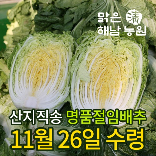 절임배추20kg예약_국내산/해남(11월26일/명품배추)