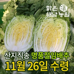 절임배추20kg예약_국내산/해남(11월26일/명품배추)